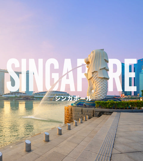 シンガポール旅行で使える高速データ無制限のeSIM